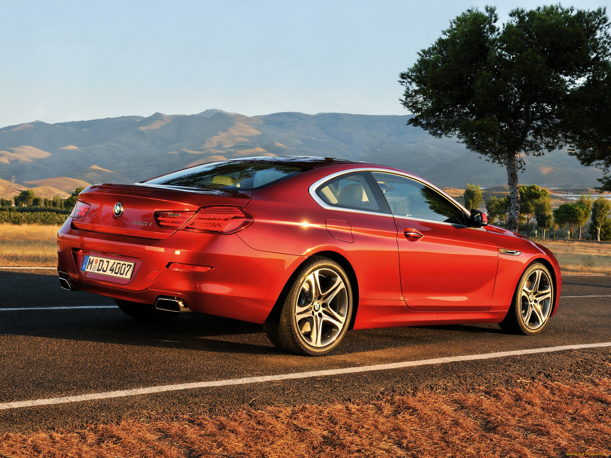 , bmw, coupe